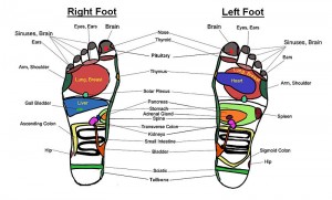 reflexology chart