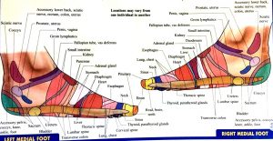 Mama Jane Massage Reflexology