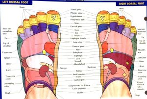 Mama Jane Massage Reflexology